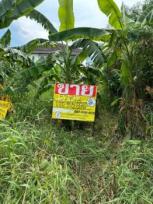 ��·��Թ �Ҥһ�С�Ȣ�� 2,900,000 �ҷ