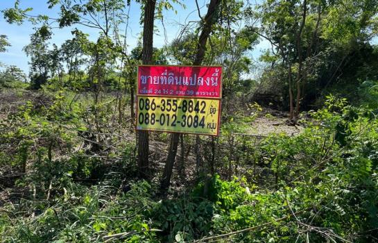 �Թᴧ �� zionasset1