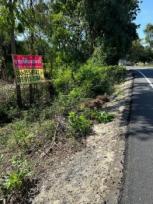 ��� ���Թ ⤡��ԭ