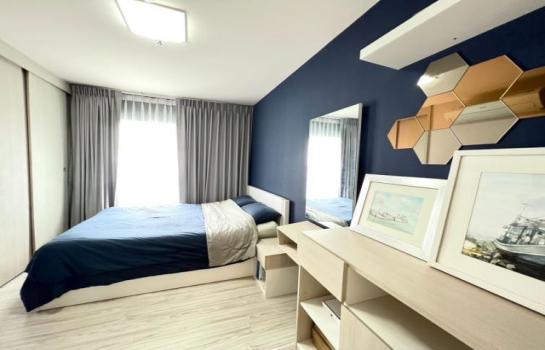 �͹����ͧ �� ���പ