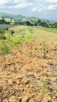 ����Թ �� sopa