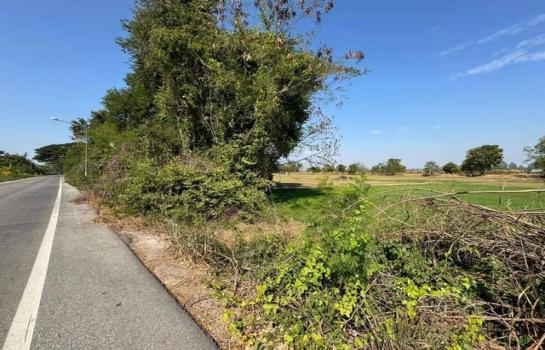 ��¾�ɳ��š �� Jyn Property