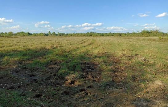 ������⾸� �� Jyn Property