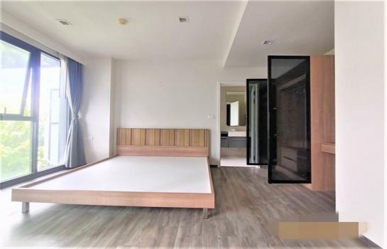 ���� �� panaya.opalopal