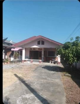 ��ҹ�ѹ��ҵͧ ��§����