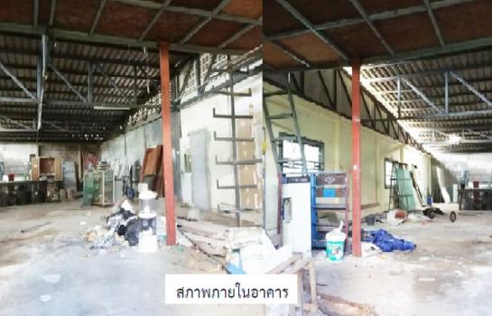 ���⡴ѧ ���ͧʧ���ʧ���