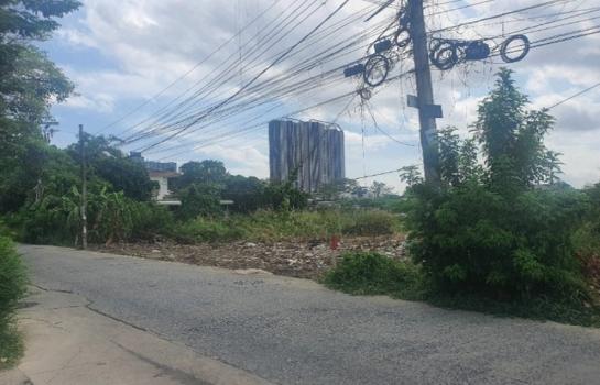 ���Թ���ͧ �� Nan