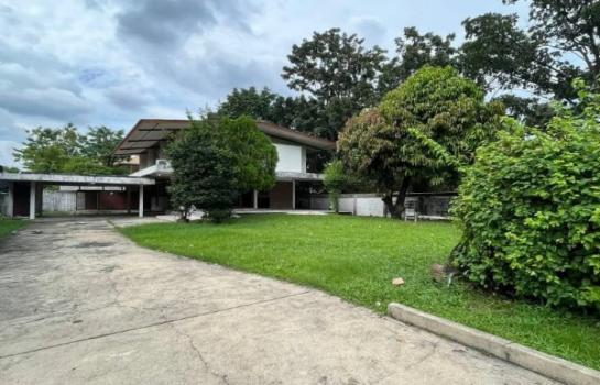 ��ا෾ �� Pukpik.TNC