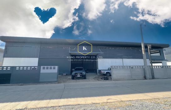 �Ҵ������� �� Kong property