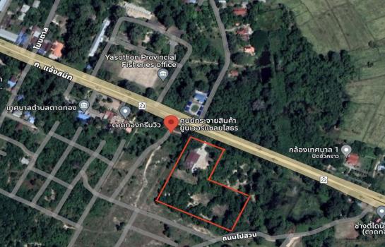 ���Թ ��ʸ�