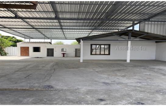 �ҧࢹ �� AssetD4U