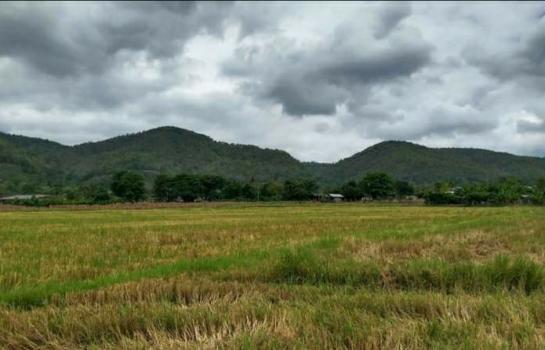 ���Թ 5 ���