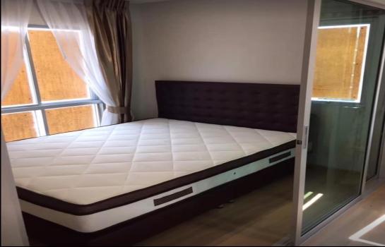 �͹���ѡ��� �� ��