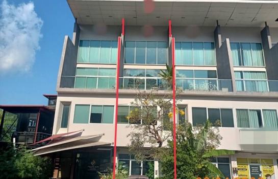 ���� �� compos2566