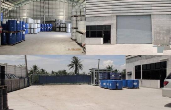 �ҧ��� �� zionasset1