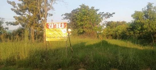 ��º֧��� �� zionasset1