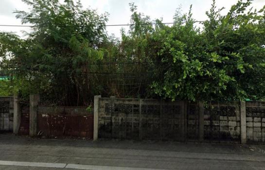 �ǹ��ǧ �� HarrisonTH