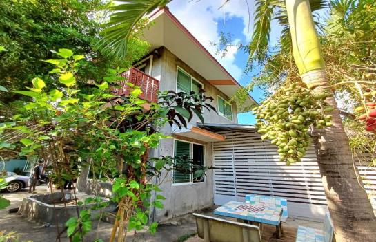 �ѹ���� �� �Ң�ѭ �Ź�����