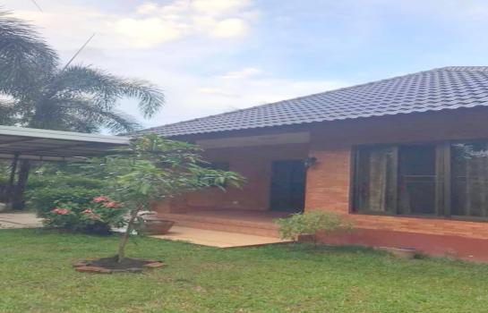 �ҧ�� �� �Ң�ѭ �Ź�����