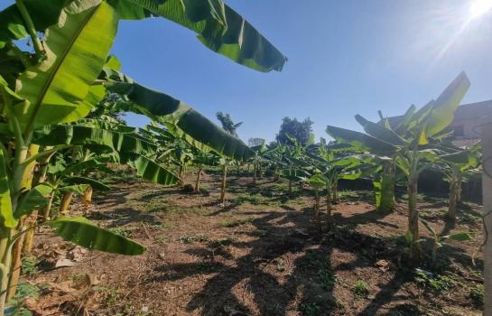 ���ͧ �� Sawasdee