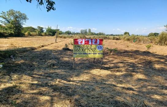 ����ӻҧ �� zionasset1