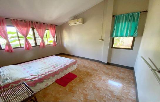 �����Һ�ҹ ��§����