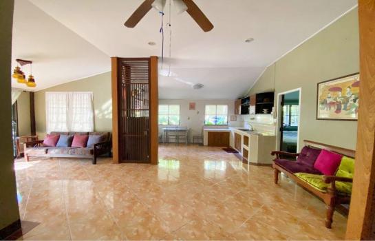 ��ҹ������������ ��§����