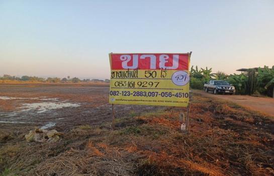 �Ѵ�ʶ� �� zionasset1