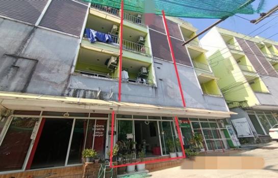 ���� �� compos2566