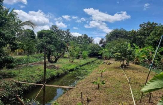 �ҧ�� �� northern1