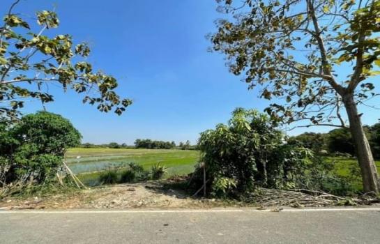 �ҧ�� �� onanong khumaphao