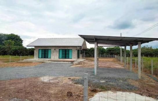 ��ҹ��������� 182 ���ҧ��