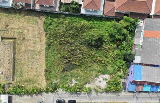 ��ا෾ �� Nititut