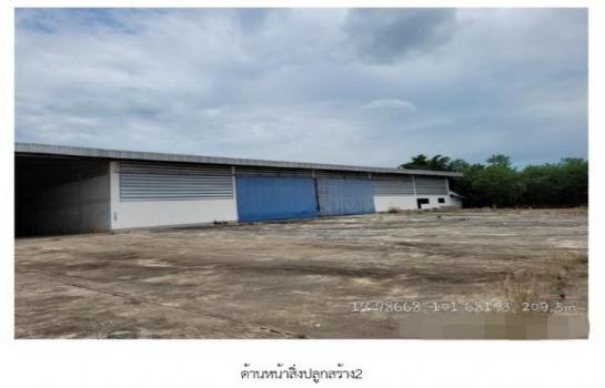 ����ç�ҹ ��§�ҹ���