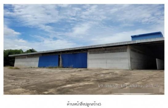 ����ç�ҹ ��§�ҹ���