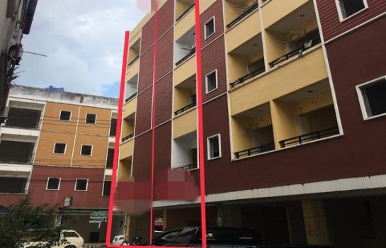 ���� �� panaya.opalopal