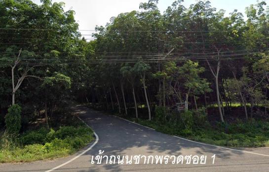 �ŧ �� rattana27