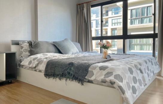 �͹����ͧ �� PP9REALESTATE