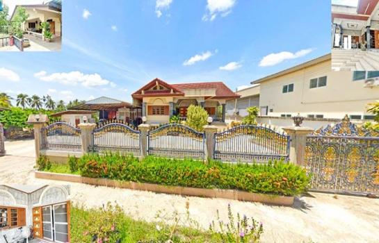 ��ҹ��û�� ���������