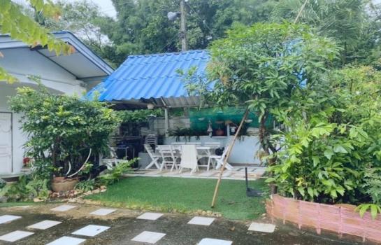 ������ �� onanong khumaphao