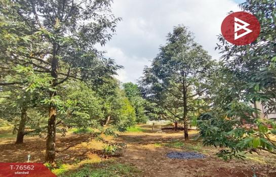 ������� �� The Best Property Agent