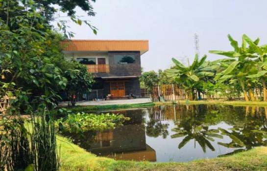 ������� �� onanong khumaphao