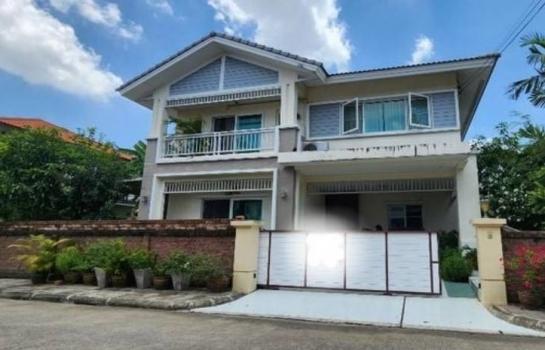 ��»����� �� Patkorn