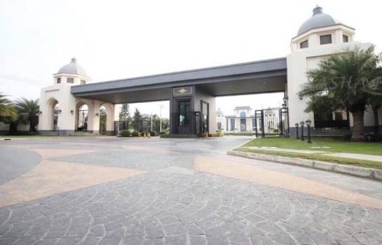 ��ا෾ �� Pukpik.TNC