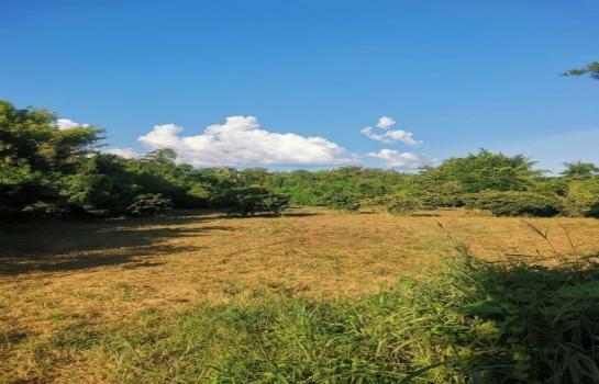 �ҧ�� �� northern1