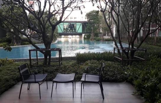 �͹����ͧ �� Sawasdee