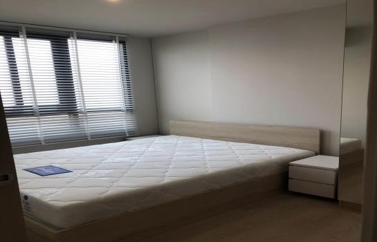 �͹����ͧ �� ��