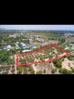 ��ҳ���� �� sopa