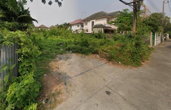 ����Ҵ����� �� HarrisonTH