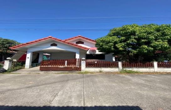 �ѹ��ᾧ �� northern1